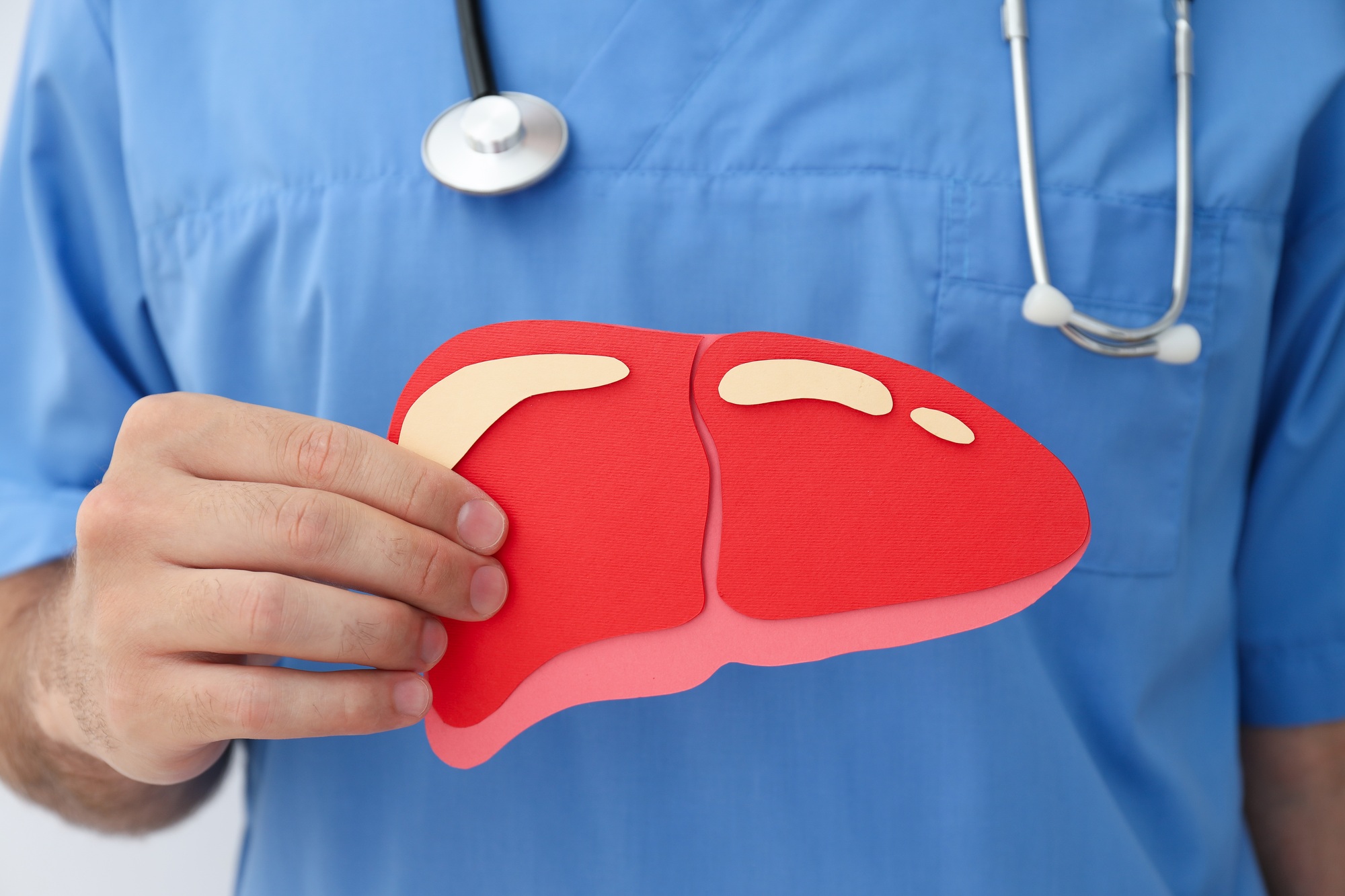 Paper liver in the doctor's hand on light background, close up